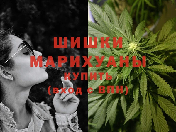 гидра Кукмор
