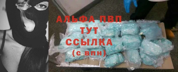 ГАЛЛЮЦИНОГЕННЫЕ ГРИБЫ Кулебаки