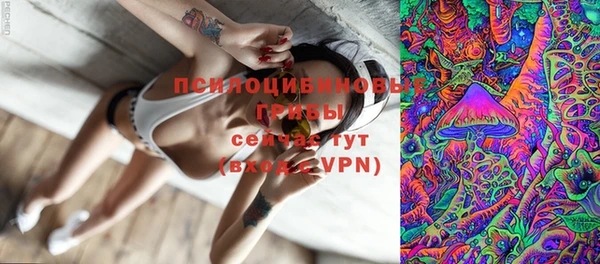 ГАЛЛЮЦИНОГЕННЫЕ ГРИБЫ Кулебаки