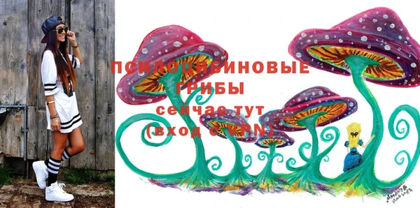 амф Абинск