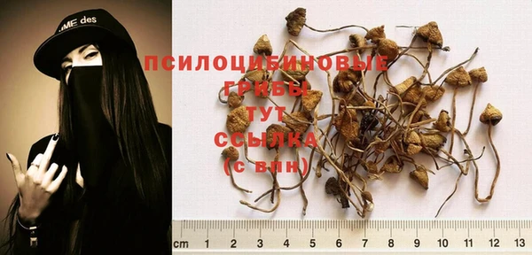 амф Абинск